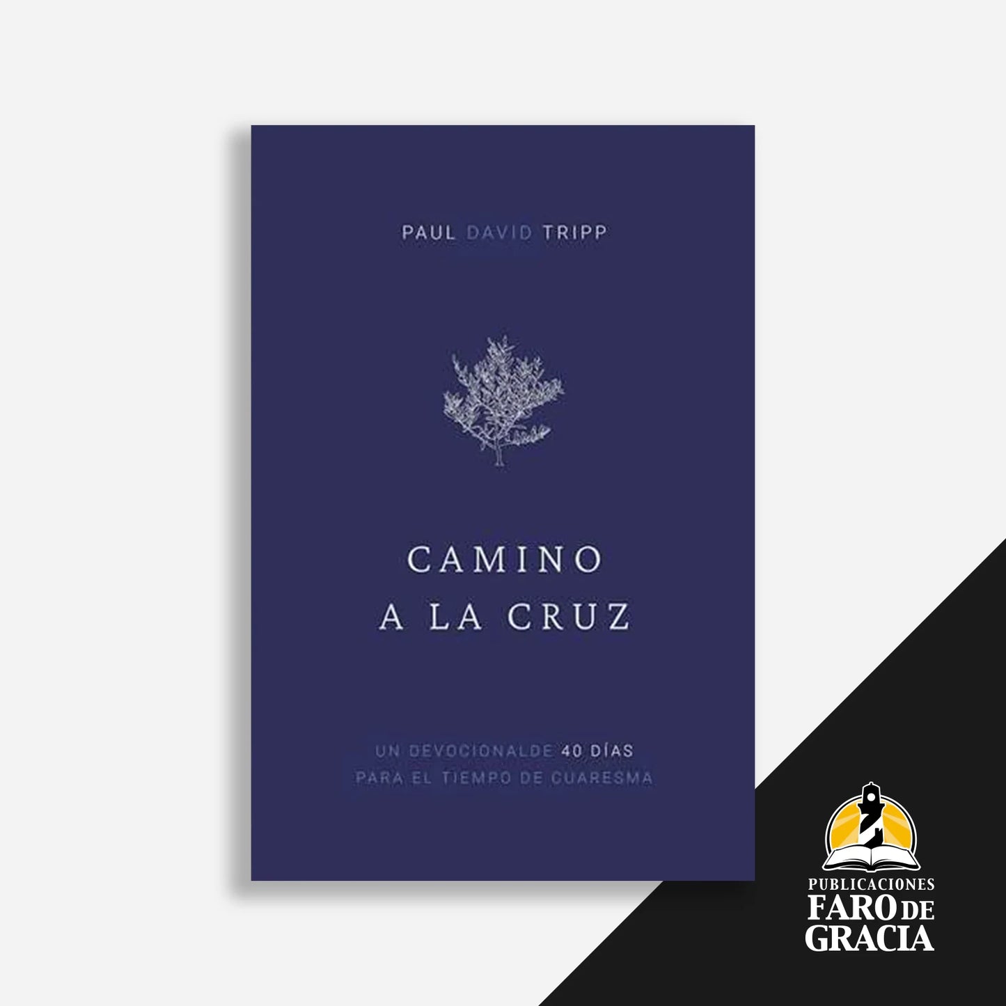 Camino a la cruz