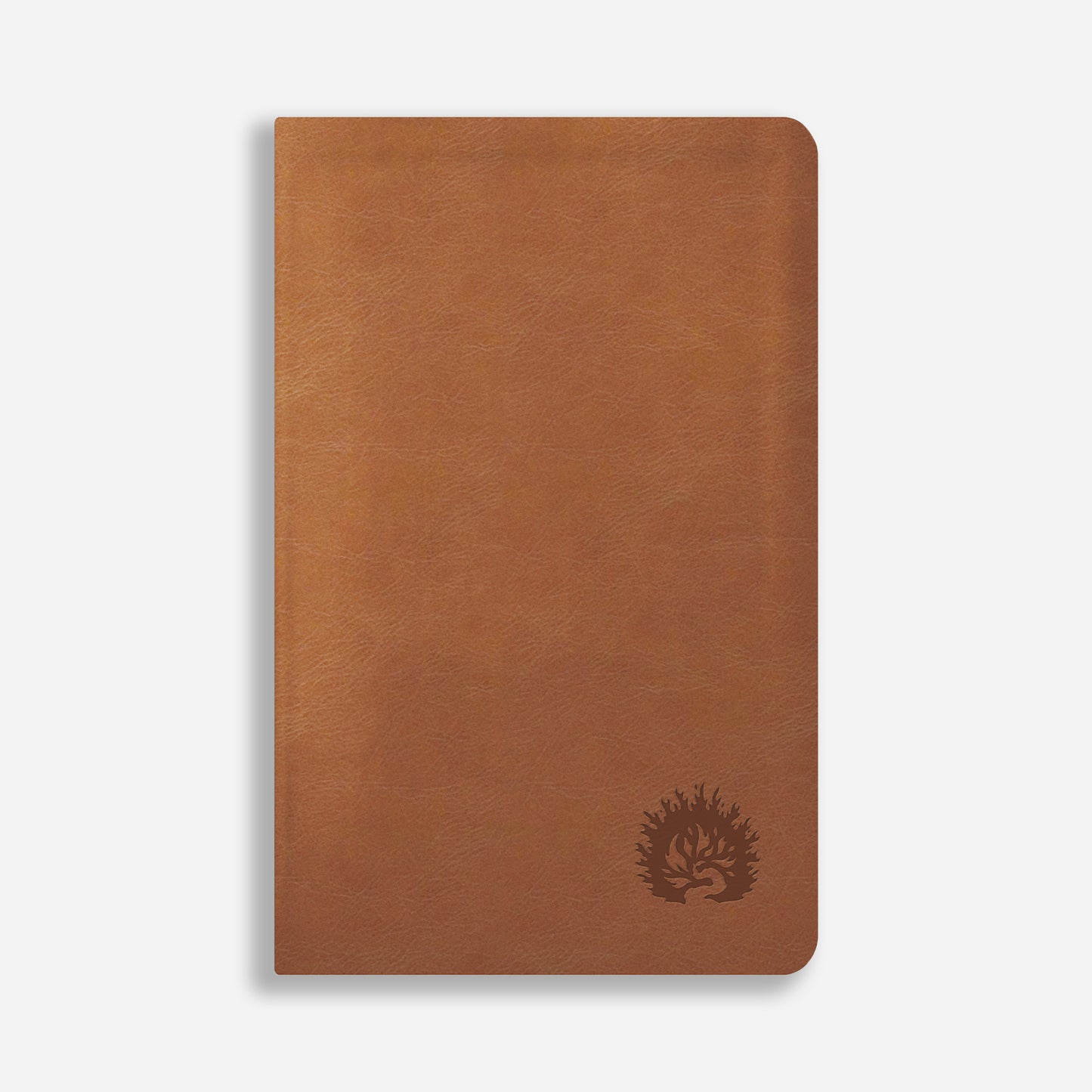 La Biblia de Estudio de La Reforma, edición condensada