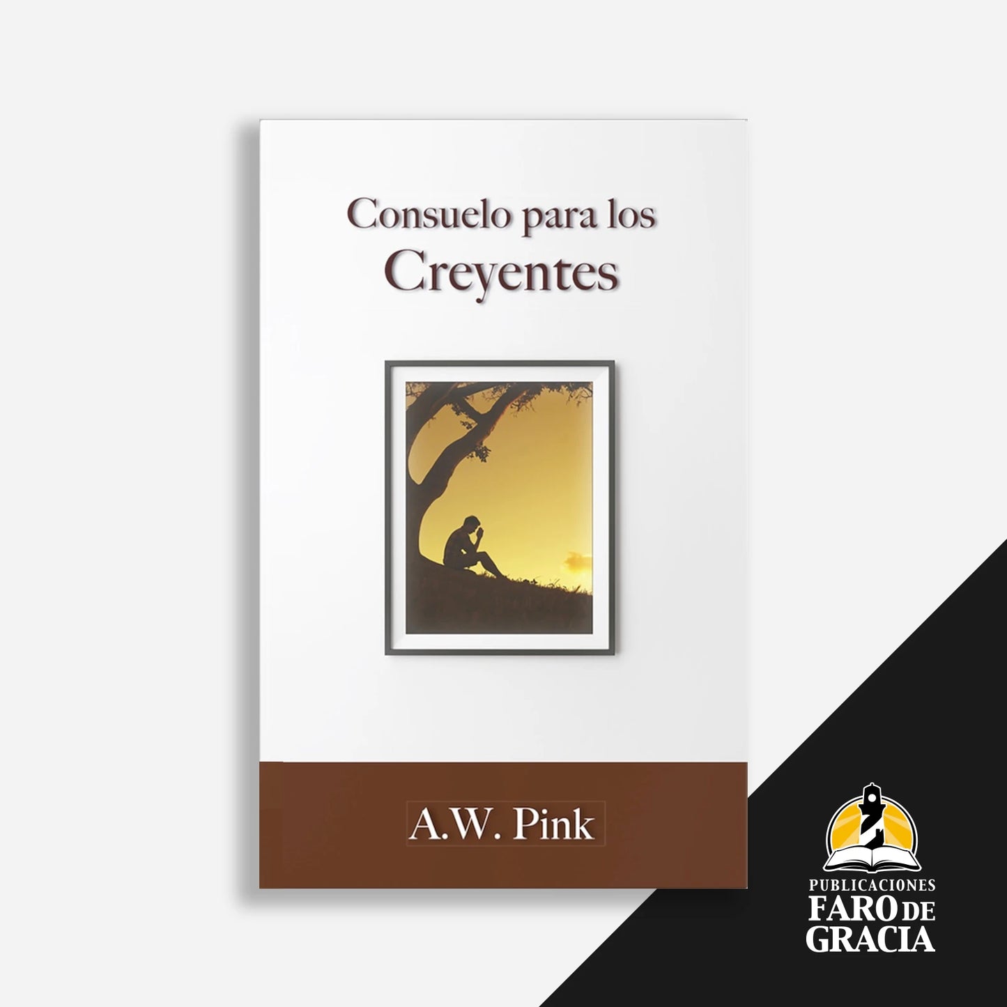 Consuelo para los creyentes