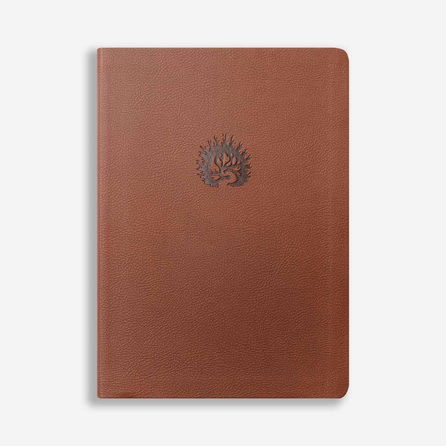 La Biblia de Estudio de La Reforma