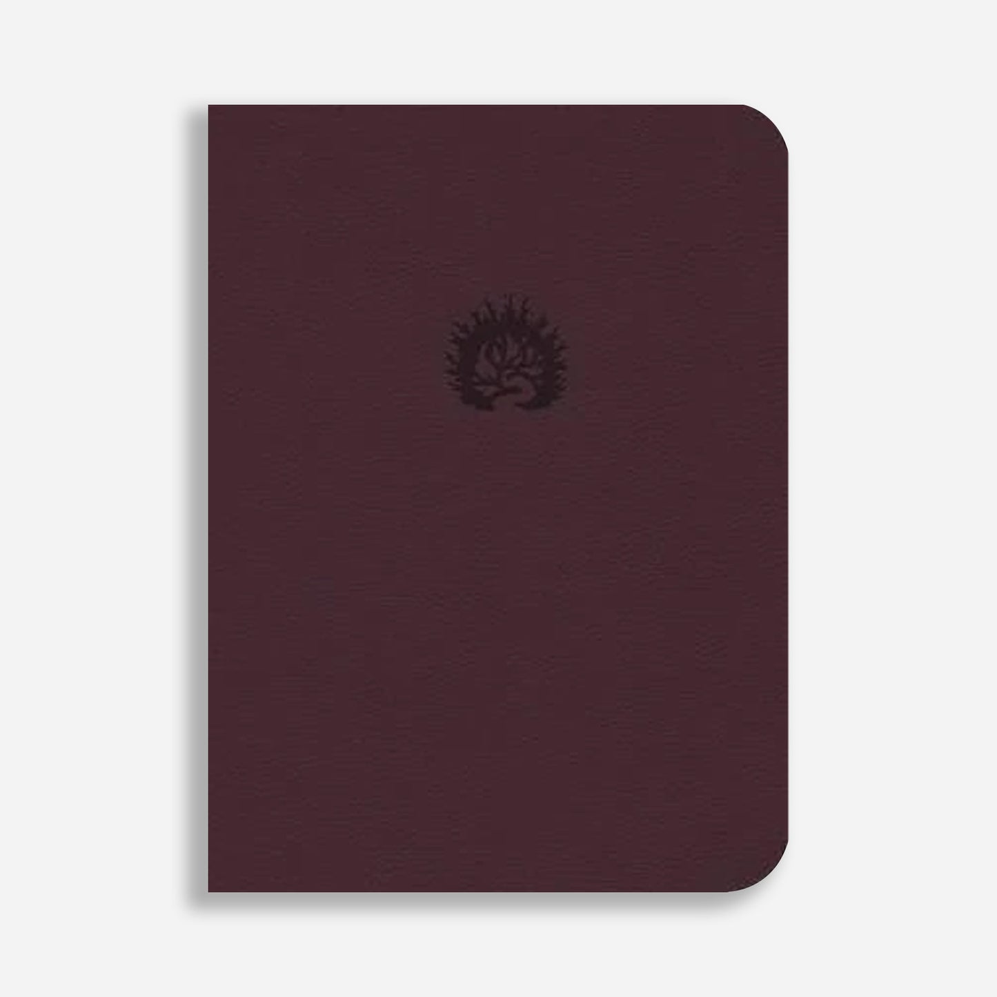 La Biblia de Estudio de La Reforma