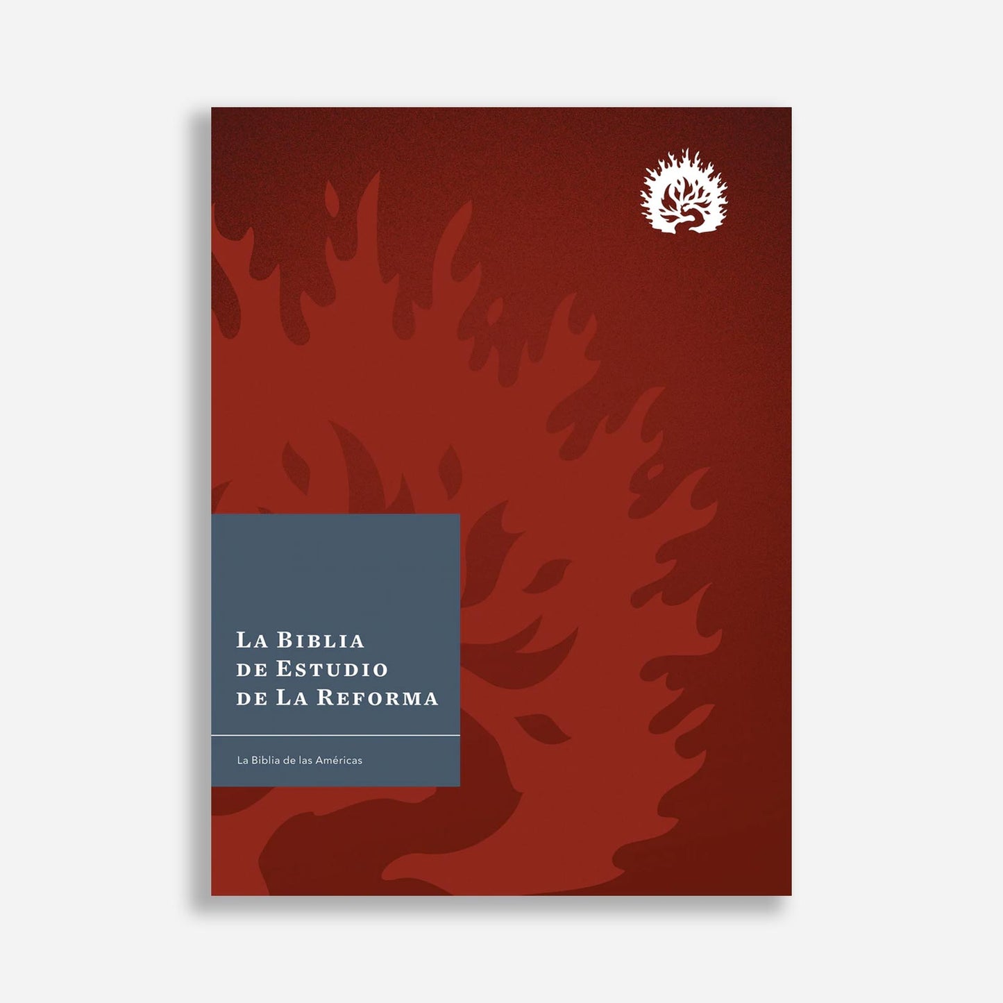 La Biblia de Estudio de La Reforma