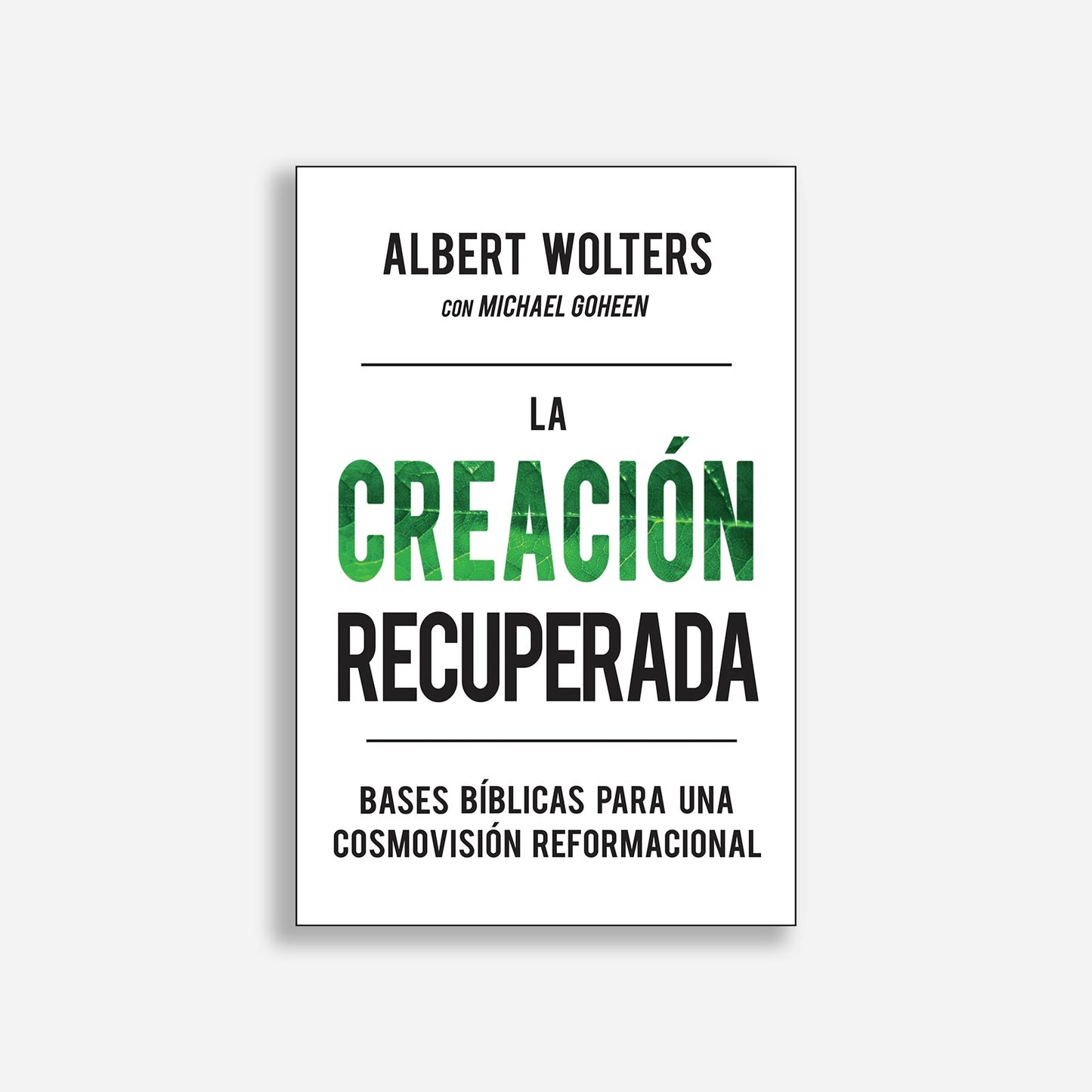 La creación recuperada
