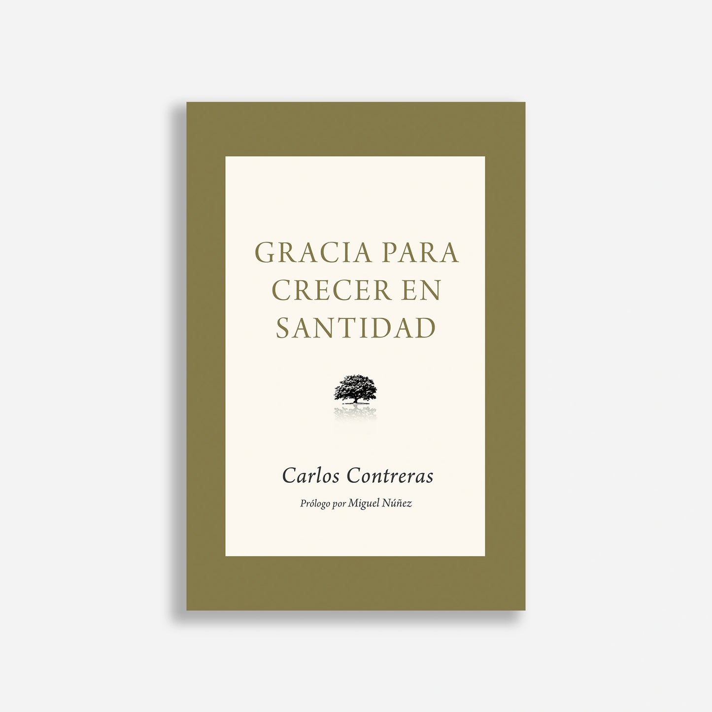 Gracia para crecer en santidad