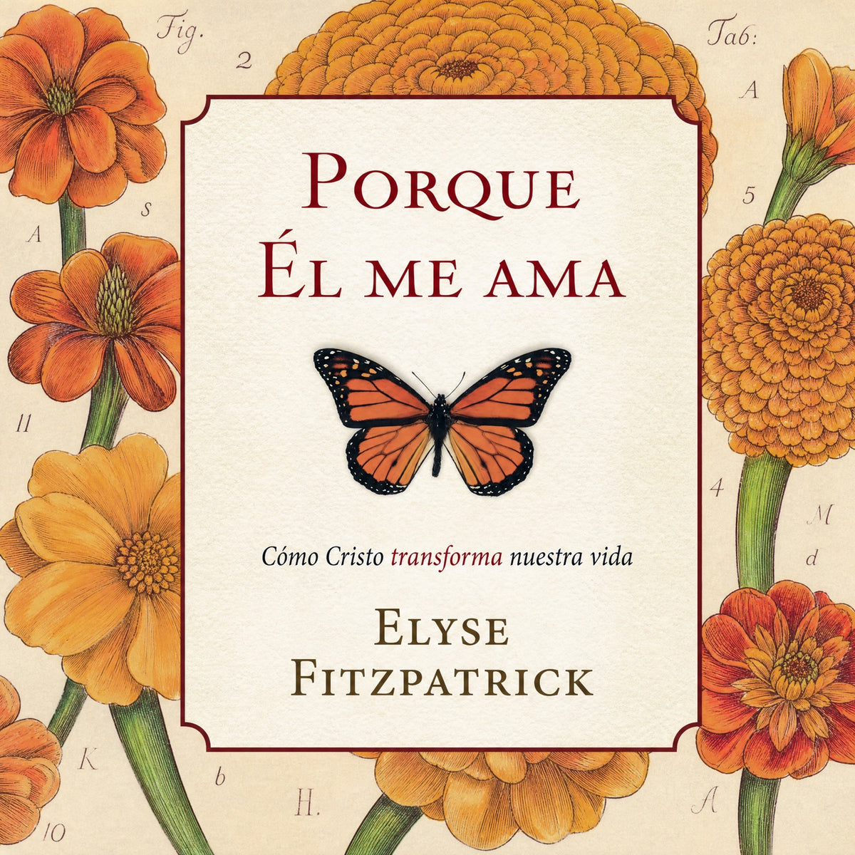 Porque Él me ama: Cómo Cristo transforma nuestra vida